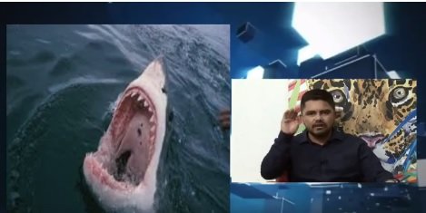 VÍDEO: JESUINO BOABAID AFIRMA QUE BANDIDO DEVE FICAR PRESO EM UMA ILHA CHEIA DE COBRAS NO MEIO NO MAR E COM TUBARÕES AO DERREDOR