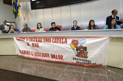 Audiência pública debate violência e maus tratos aos animais