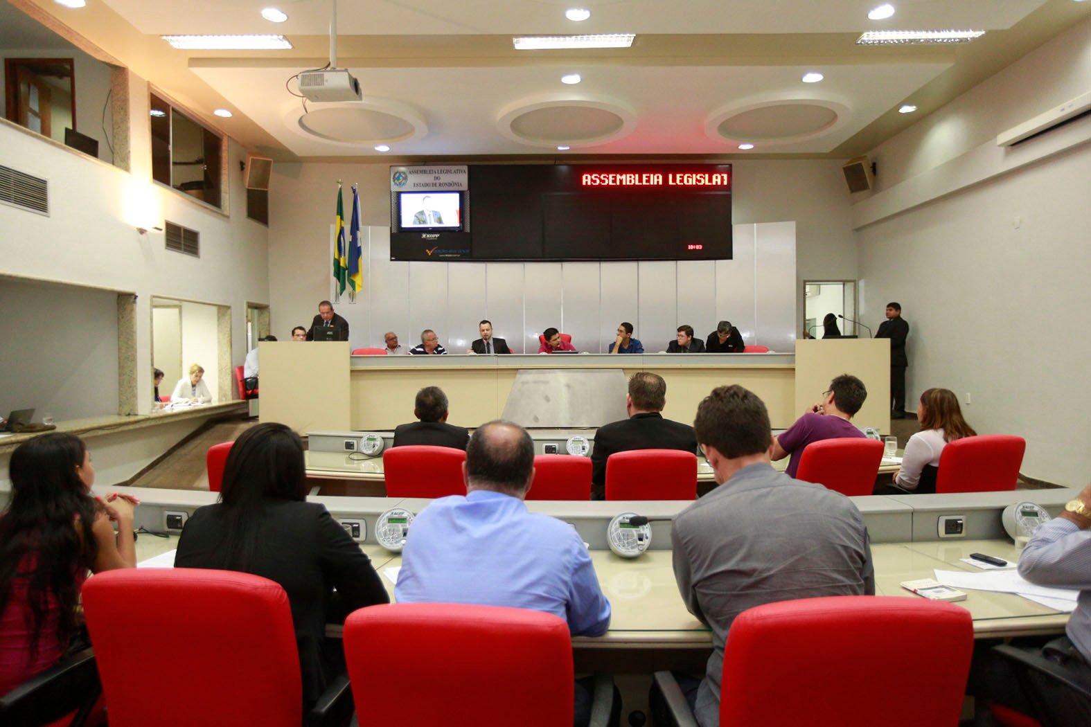 Erradicação de búfalos em Rondônia é debatida em audiência pública